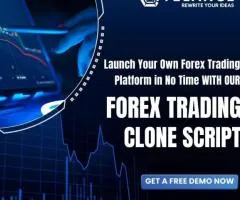 Forex trading script: Launch Your Own Forex Trading Platform in No Time!