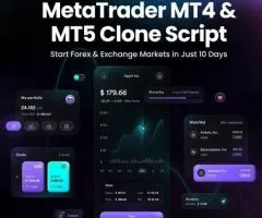 How Can MetaTrader Clone Software Accelerate Your Trading Business?