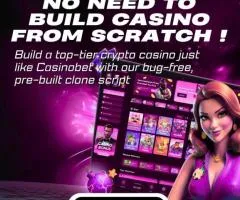 Go Global in Online Gaming with CasinoBet Clone Software – Minimal Cost, Quick Setup