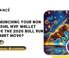 Launch a Non-Custodial MVP Wallet Before the Bull Run